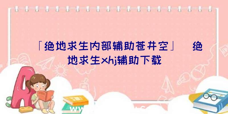 「绝地求生内部辅助苍井空」|绝地求生xhj辅助下载